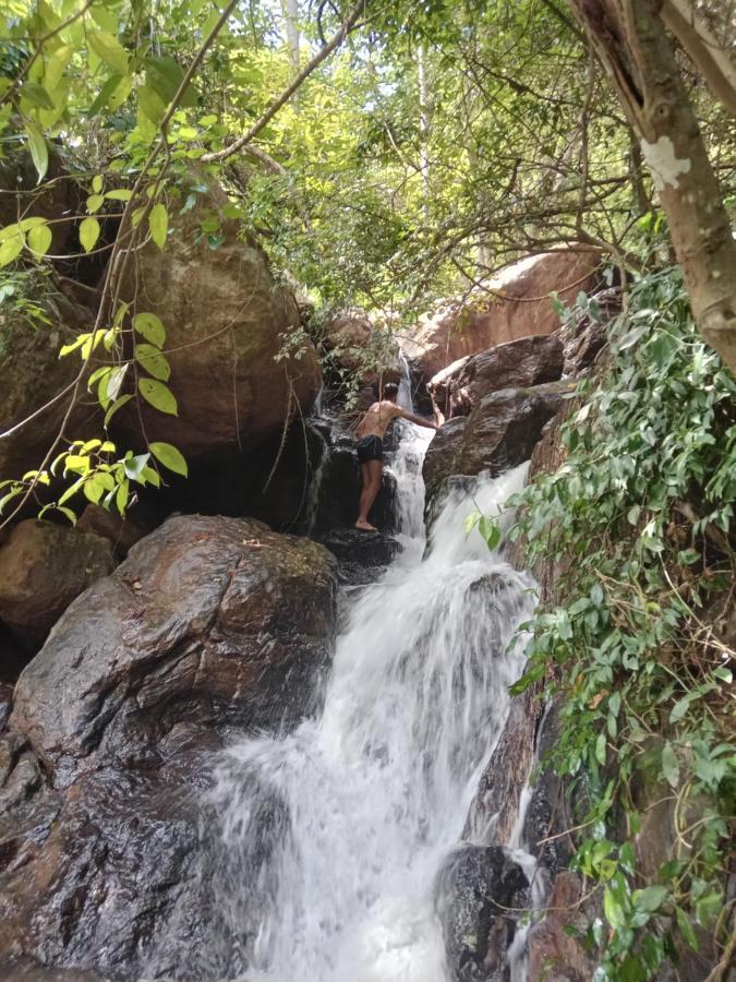 Homestay Jungle Village